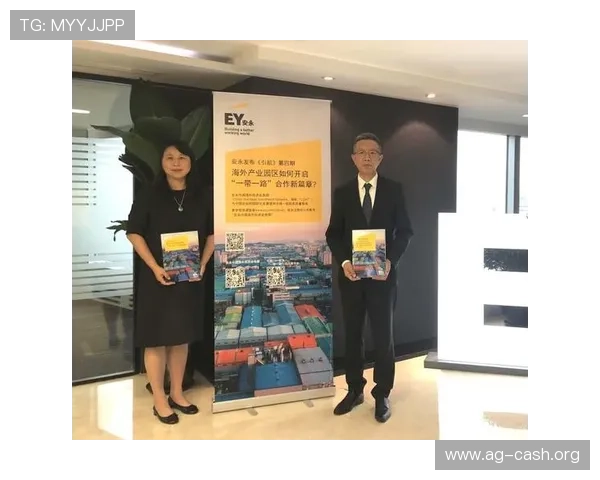 深入解析K8集团代理模式，开启行业合作共赢的全新篇章